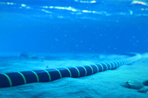Underground Sea Cable